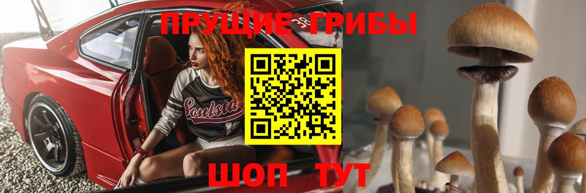 Галлюциногенные грибы Cubensis Дзержинск
