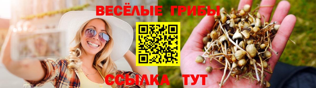 Галлюциногенные грибы Magic Shrooms  Вход с VPN  Дзержинск  Галлюциногенные грибы Cubensis 
